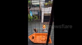 Philippines: Typhoon Gaemi Causes Severe Flooding In Metro Manila And Parts Of Luzon 3