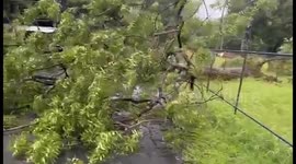Philippines: Strong Winds And Flooding Hit Luzon As Typhoon Gaemi Intensifies Monsoon 9