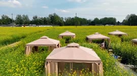 China: Southwest China's Sichuan grows to world's second largest caviar producer