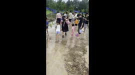 Locals scoop up fish on flooded road in China