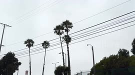 Heatwave Impact on LA County
