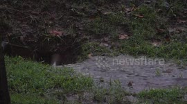 Flood in Gwinnett GA, USA