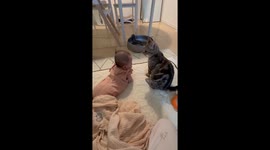 10-month-old cat and 4-month-old baby share precious moment