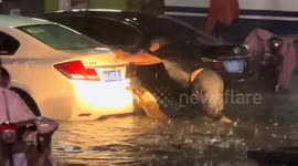 Loyal dog helps owner push car through floods in central China
