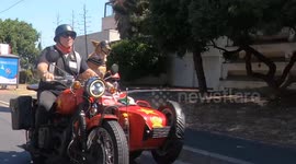 Meet the real-life Gromit taking over motorcycle tours - by hopping in the sidecar