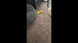 Man Wakes Up To Big News