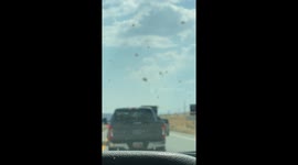 Tumbleweeds Block Traffic