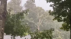 Heavy Rainfall in Adirondack Mountains