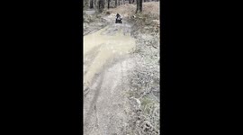 Get ready for an adventure as a young rider takes on the trails with their trusty quad bike!