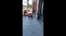 Delivery robot finds a man knocked out and can’t get around him