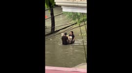 Three pet dogs carried to safety through typhoon floods in the Philippines