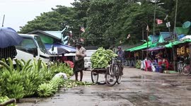 Myanmar exports over 110,000 tons of tissue-cultured bananas to China in Q1