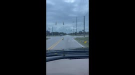 Geese cause traffic delay in Lafayette, Indiana