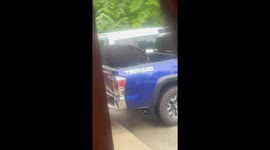 Bear caught eating from cooler in Gatlinburg truck