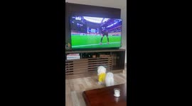 Dog joins football celebration in Bogotá Video