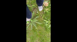 Girl swaps weekend fun for weeding and loves it