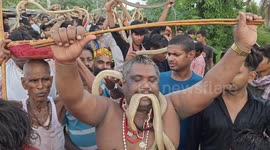 Hindu devotees celebrate horrific Snake Festival in Indian state of Bihar