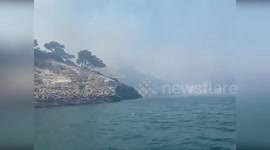 Italy: 540 Tourists Evacuated as Forest Fire Engulfs Vieste Accommodation Facility