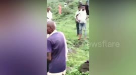 Python attacks Indian man while he goes to toilet in the bushes