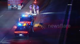 USA: Carson Semi Truck Fatally Hits Pedestrian on Freeway