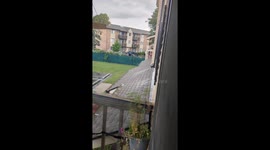 Neighbor Pup Licks The Rain