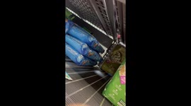 The Things We Do For Our Pets