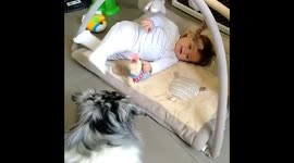 Baby laughing at dog \ Qua la Zampa