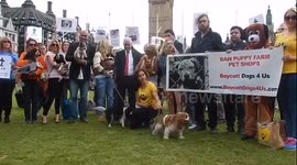 Jodie marsh at Puppy Farming Protest - demonstration and photocall