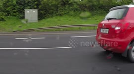 11MH Stupid Girl Talking on the phone while driving M50 Dublin Ireland