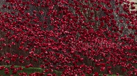 'Wave of poppies' on display at Lincoln Castle, UK