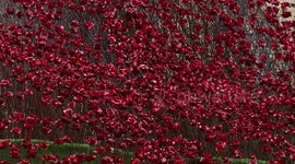 'Wave of poppies' on display at Lincoln Castle, UK
