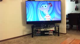 Cute twin babies dancing to television!