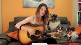 Dog singing Hallelujah | Qua la Zampa