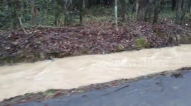 Dyer, Arkansas Flooding