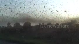 Locust swarm blots out the Sun
