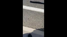 Car accident. Truck over cliff footage moments after...