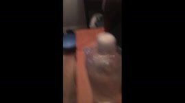 Crazy cat gets head stuck in tissue box part 1 FAIL