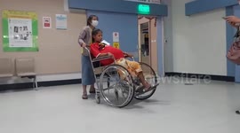 Woman, 31, suffering from 45-lb uterine tumour will finally undergo surgery in Thailand