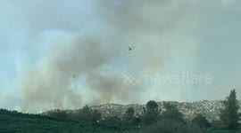US: Lightning-Caused Grove Fire Burns 900 Acres In Dodge Valley Area Of California 3
