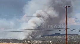 US: Lightning-Caused Grove Fire Burns 900 Acres In Dodge Valley Area Of California