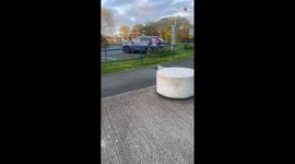 Mischievous seagull steals pouch of tobacco from lady and tries to run away