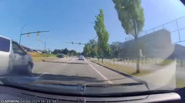 Driver loses control, hits tree in Burnaby