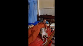 Heartwarming moment pet monkey stays with sick monk owner