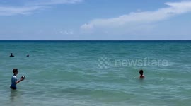 Summer Day at Hollywood Beach