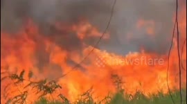 Land and Forests in Jambi, Indonesia, Severe Burning occurred again, approximately 20 hectares were destroyed by fire, forest and land fire disaster alert status was implemented