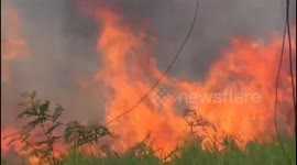 Land and Forests in Jambi, Indonesia, Severe Burning occurred again, approximately 20 hectares were destroyed by fire, forest and land fire disaster alert status was implemented