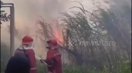 Land and Forests in Jambi, Indonesia, Severe Burning occurred again, approximately 20 hectares were destroyed by fire, forest and land fire disaster alert status was implemented