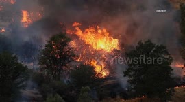 United States: Havilah Borel Wildfire Burns Over 31K Acres Horses Rescued