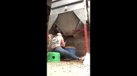 Surprise silo incident: Animal food pours out unexpectedly in a messy event