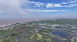 Discover migratory birds protection at Shanghai's 1st World Natural Heritage site